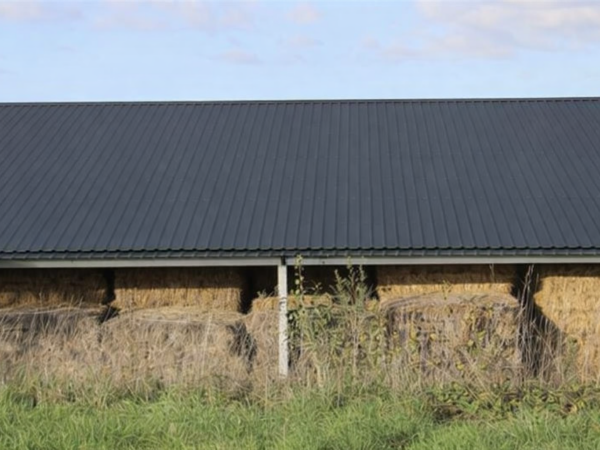 Hangar Monopan Classic